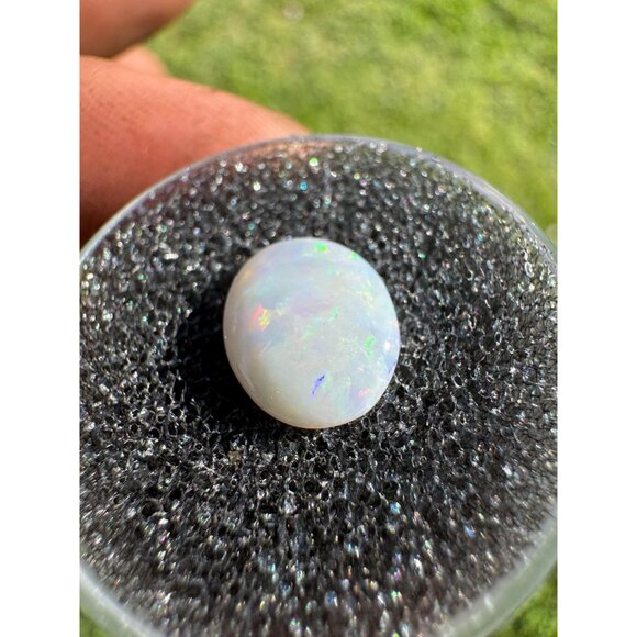 Australian Opal Cabochon - 0.90 carat in Display Box #197 - Picture 4 of 7